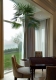 
                                    大面落地窗将室外绿意美景引入室内，搭配高直的植栽更让高度有无限延展的错觉。