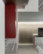
                                    主卧里运用不同的机能代表不同的色块诠释，让红色的衣柜，大理石置物台，黑色雾化玻璃的电视墙及不锈钢的空调天花板，以蒙德里安的「新造型主义」概念结合在一起 。
